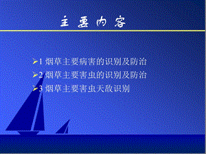 烟草病虫害防治.ppt