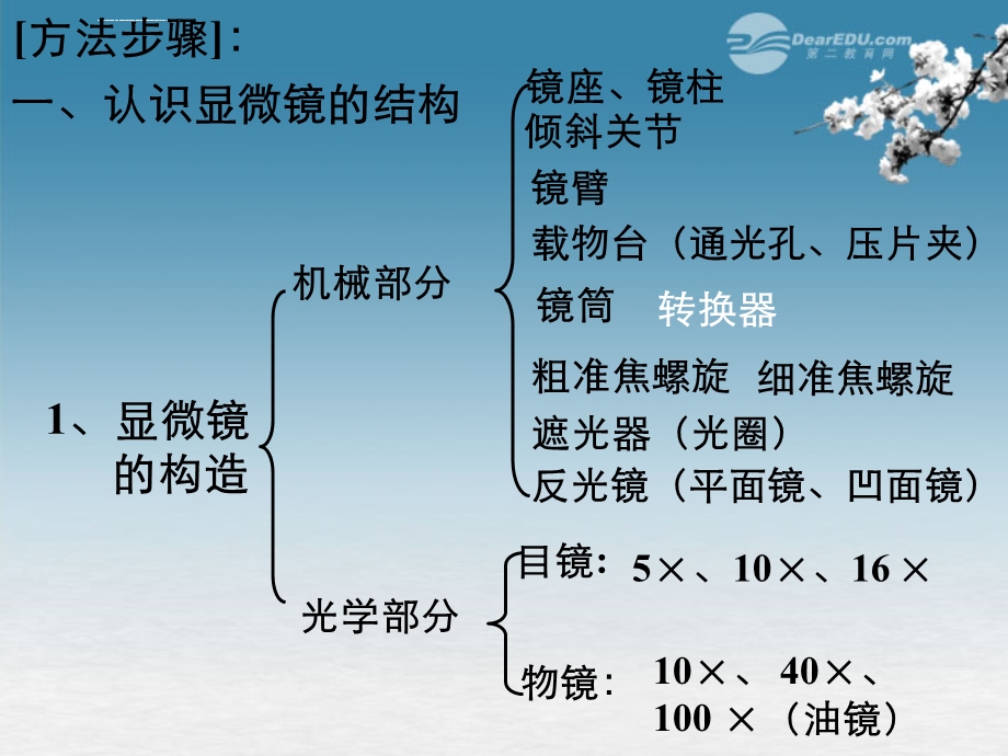 七年级生物上册-第二节-学会观察课件-冀教版.ppt_第2页