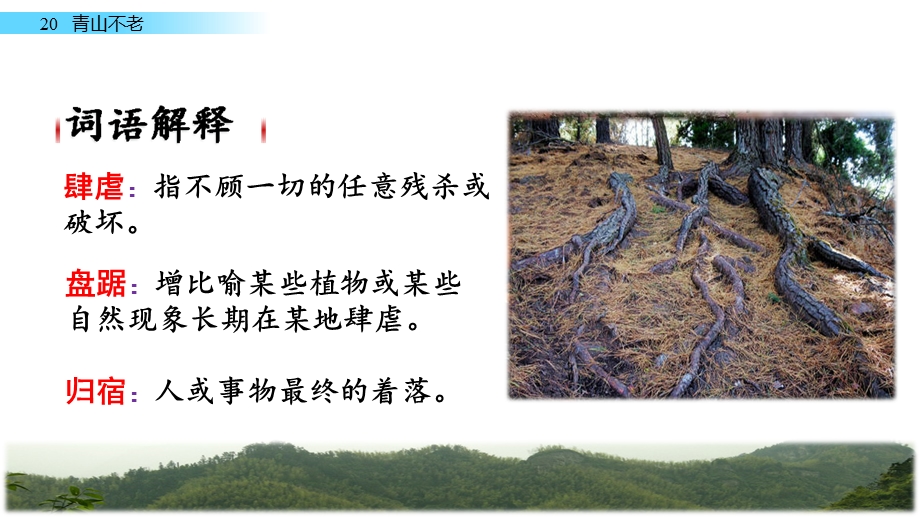 部编六上《青山不老》优秀课件.ppt_第3页