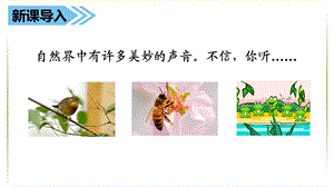 部编人教版三年级上册语文：7听听秋的声音课件.pptx