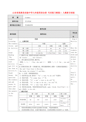 山东省高唐县实验中学九级英语全册 代词复习教案1 人教新目标版.doc