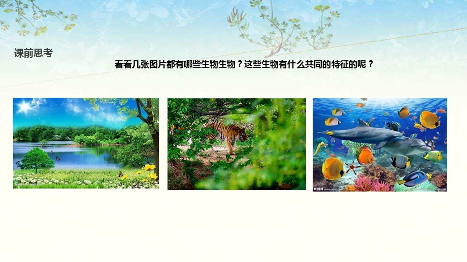 北师大版七年级生物上册3.1《细胞的基本结构和功能》课件.pptx_第2页