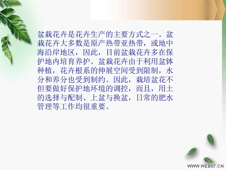 盆花种养技术课件.ppt_第2页