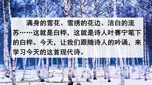 部编版四年级语文下册《白桦》公开课课件【2020春】.pptx