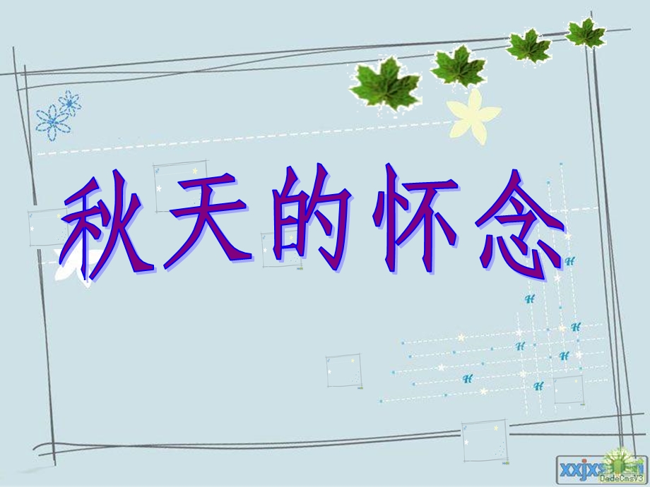 《秋天的怀念》优秀课件.ppt_第3页