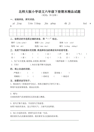 北师大版小学语文六级下册期末精品试题.doc