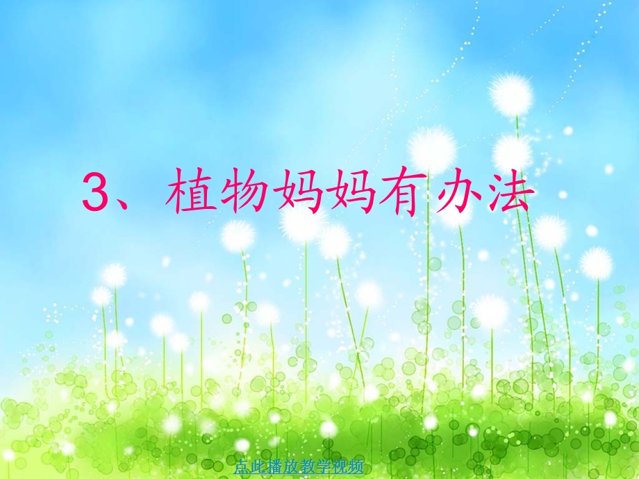 《植物妈妈有办法》公开课课件.ppt_第1页