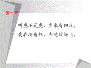 人教部编版一年级语文下册小壁虎借尾巴课件.ppt