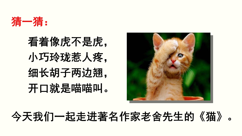 部编版四年级下册-猫-课件.ppt_第1页