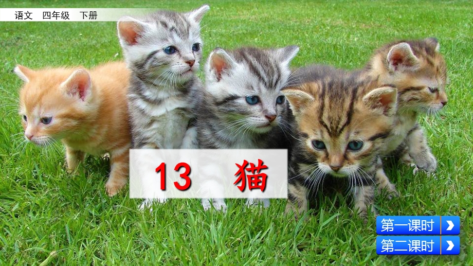 部编版四年级下册-猫-课件.ppt_第2页