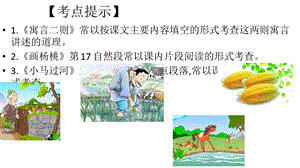 部编人教版小学语文二年级下册第五单元复习课件.pptx