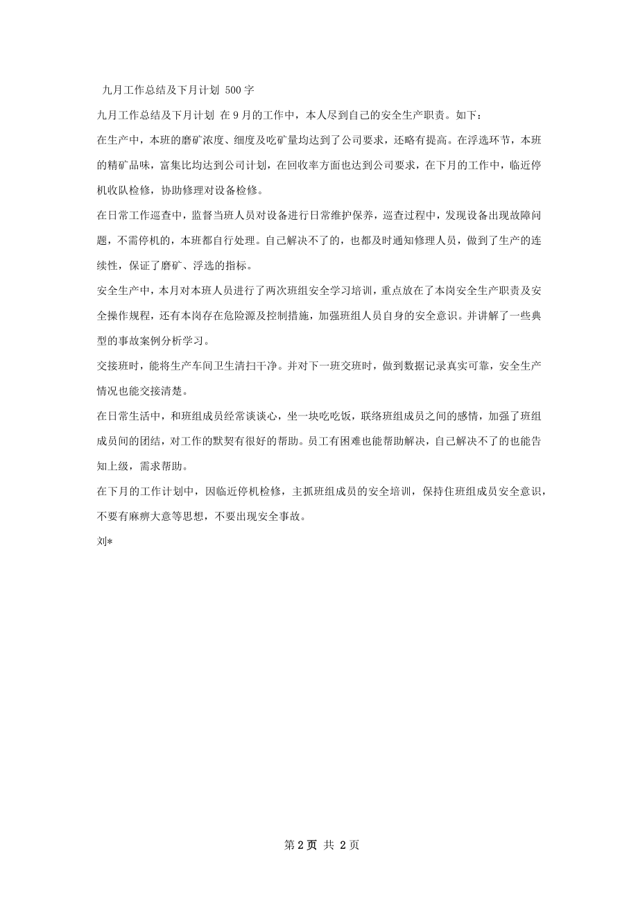 工作总结计划.docx_第2页