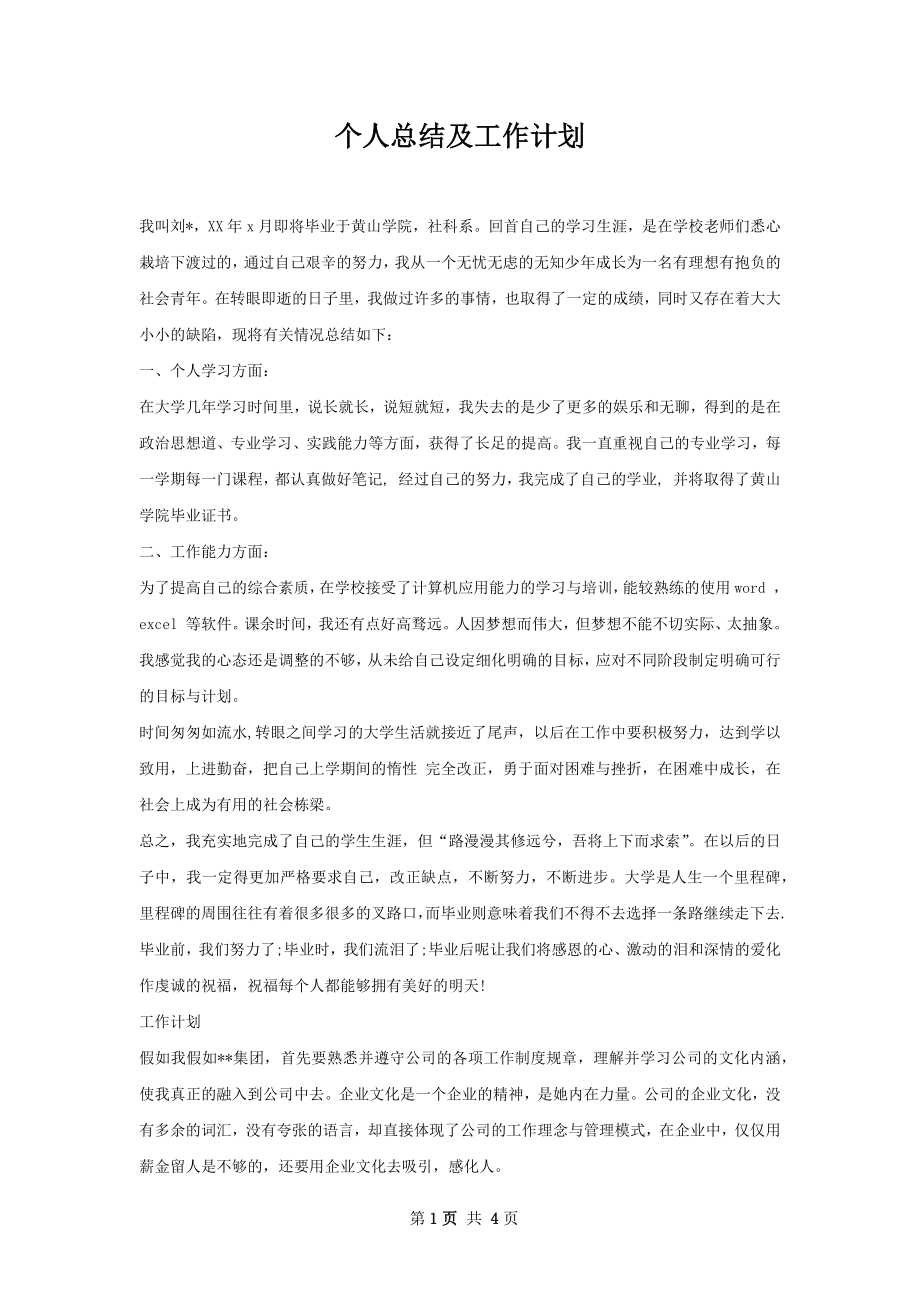 个人总结及工作计划.docx_第1页