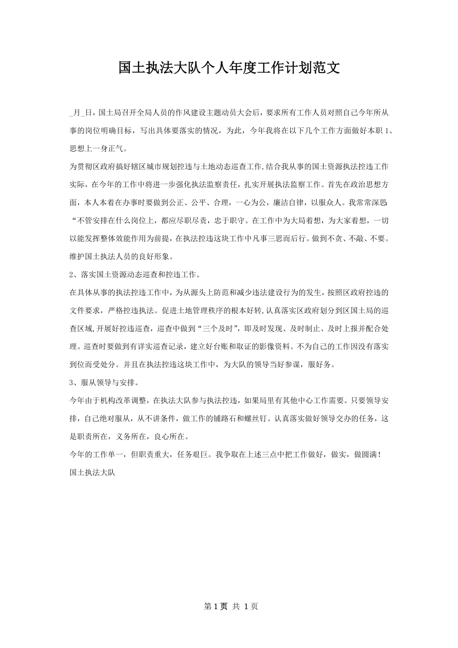 国土执法大队个人年度工作计划范文.docx_第1页