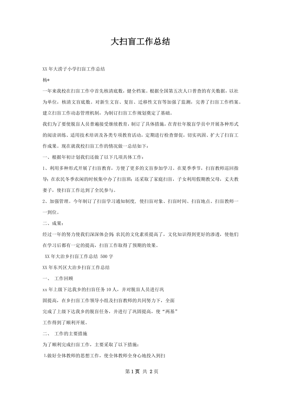 大扫盲工作总结.docx_第1页