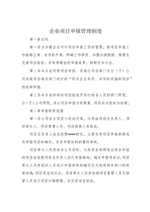 企业项目申报管理制度.docx