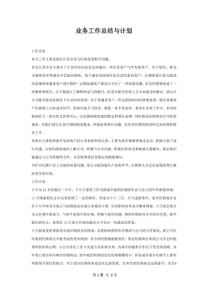 业务工作总结与计划.docx