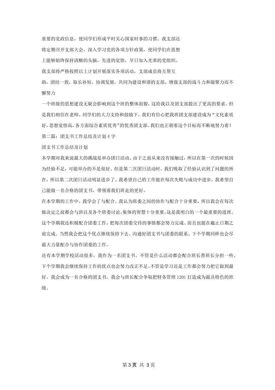 团支书工作总结和计划.docx_第3页