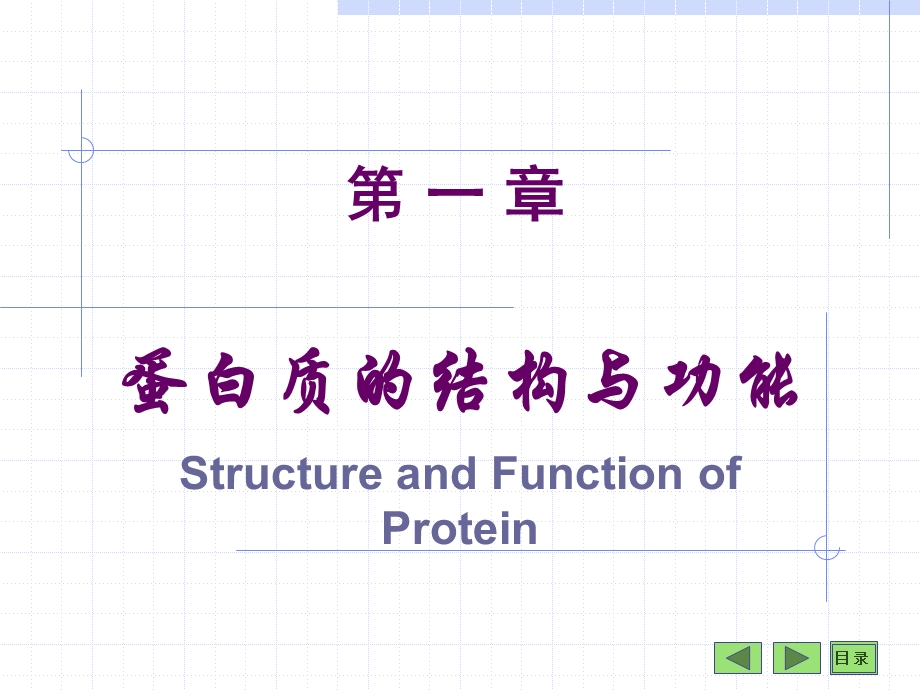 生物化学PPT课件.ppt_第2页