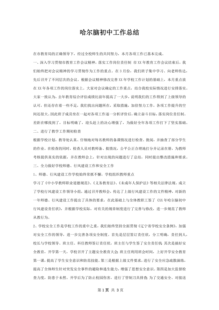 哈尔脑初中工作总结.docx_第1页