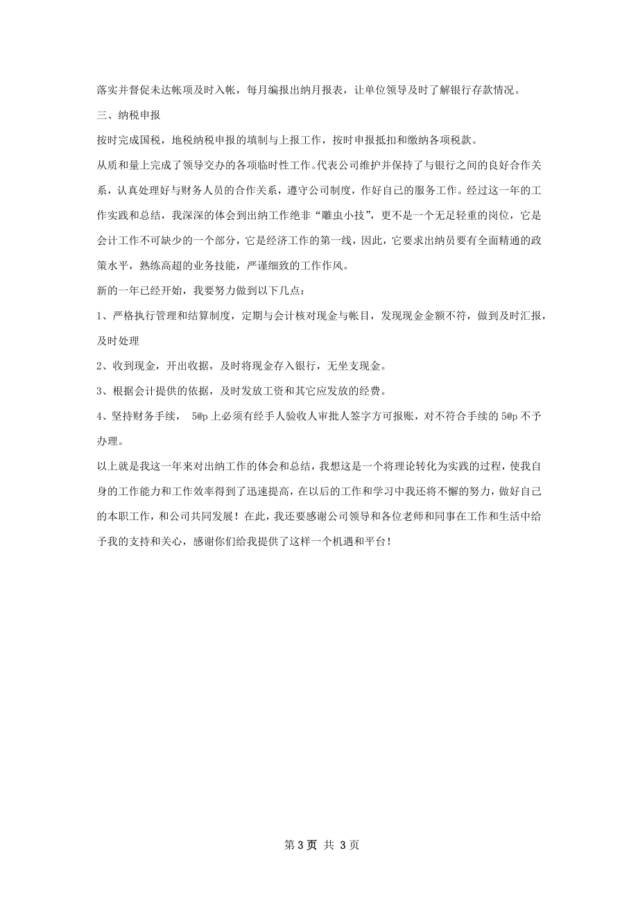 出纳年度工作总结.docx_第3页