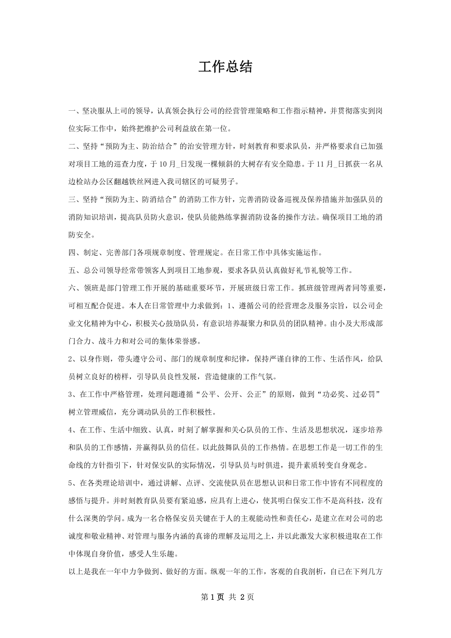 工作总结.docx_第1页