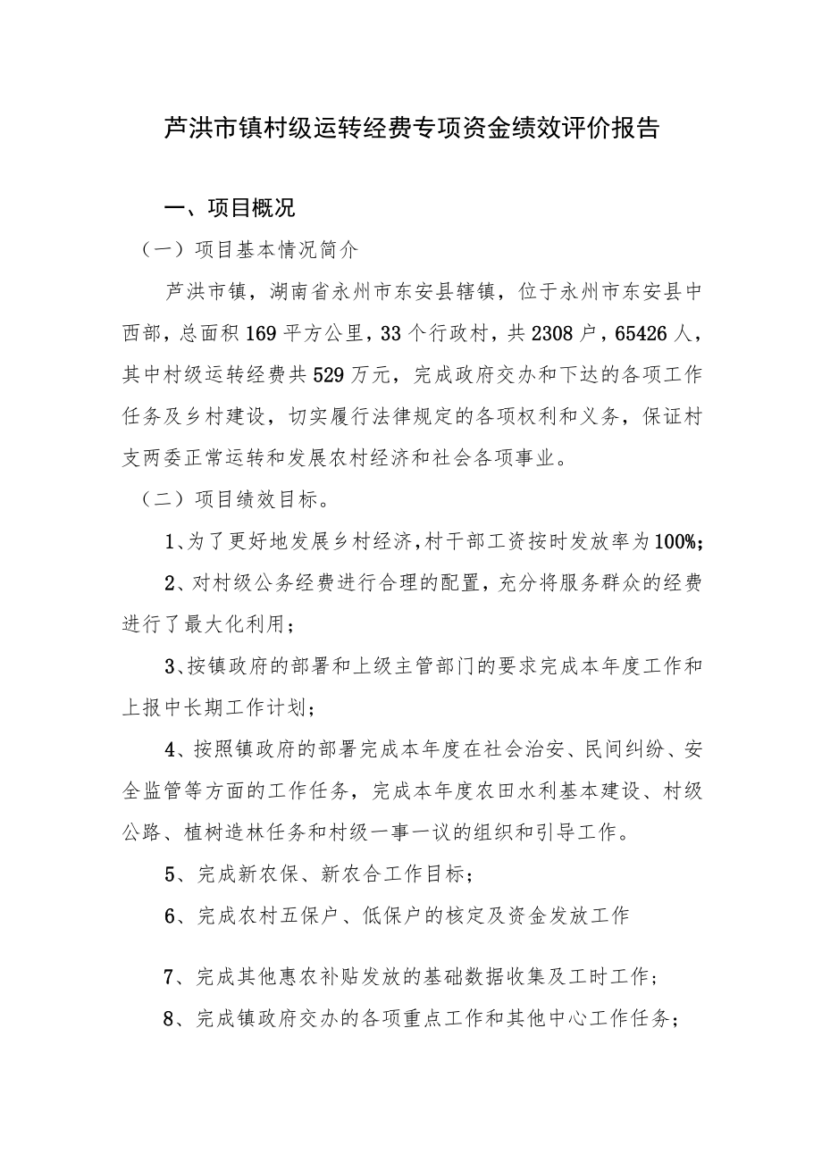 芦洪市镇村级运转经费专项资金绩效评价报告.docx_第1页