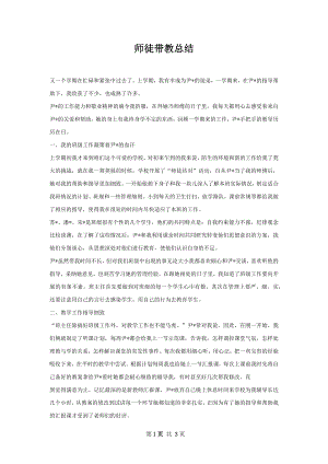 师徒带教总结.docx