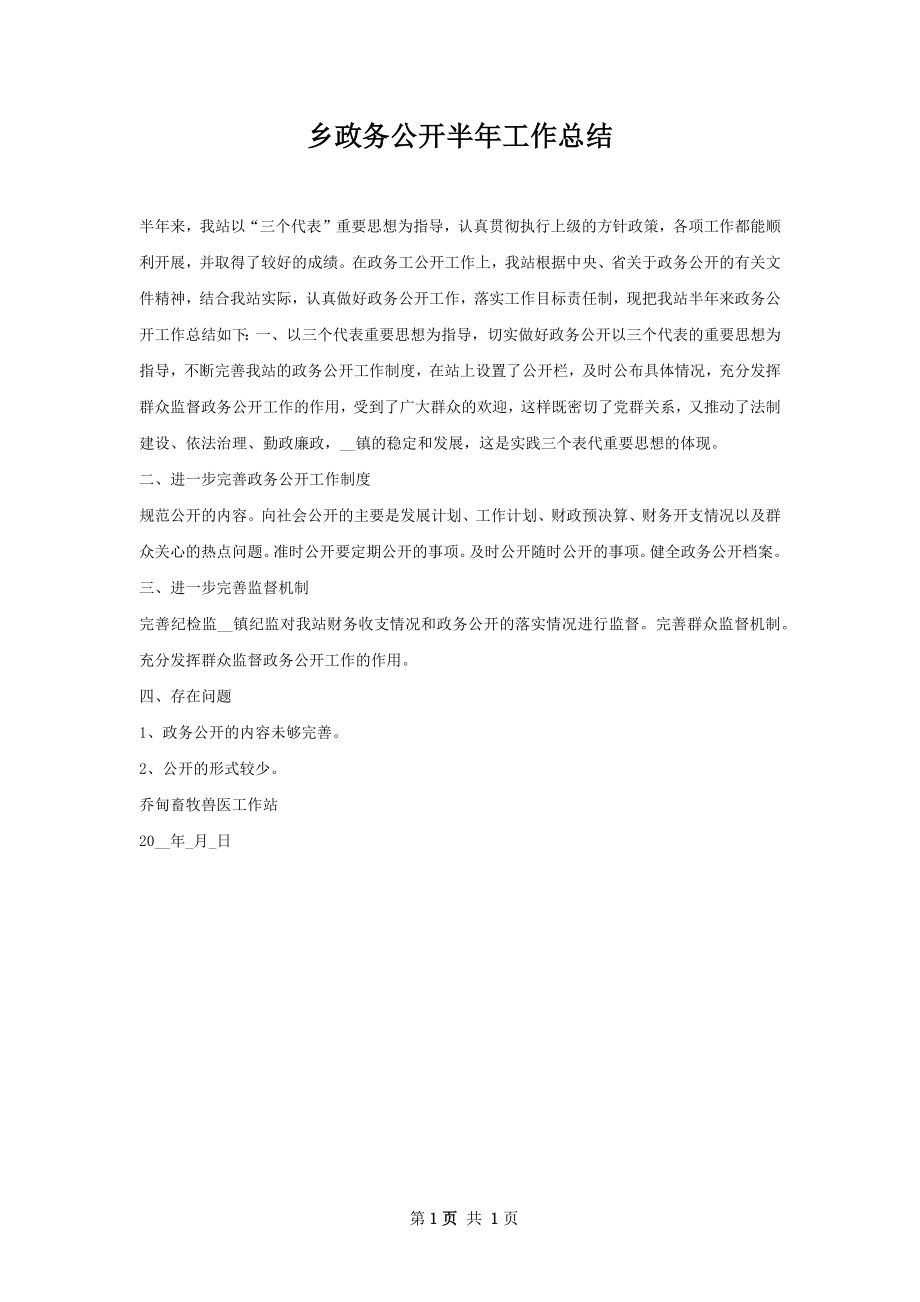 乡政务公开半年工作总结.docx_第1页