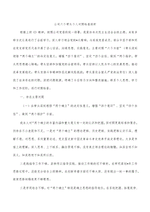 公司六个带头个人对照检查剖析.docx