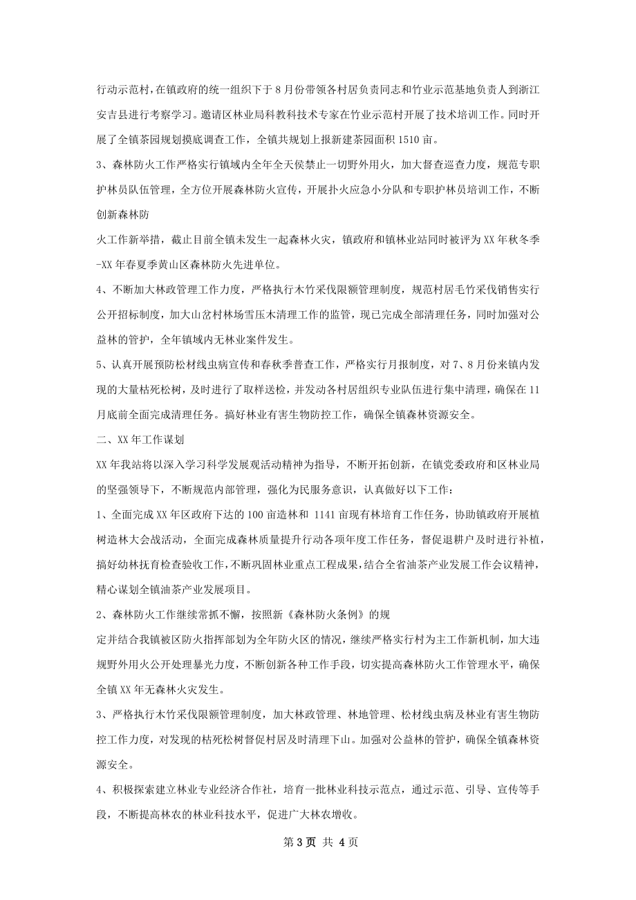 乡镇工作总结及计划.docx_第3页