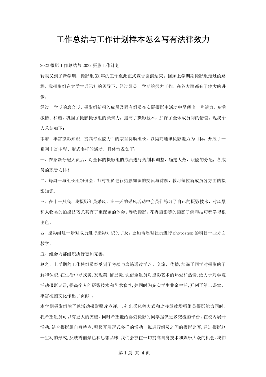 工作总结与工作计划样本怎么写有法律效力.docx_第1页