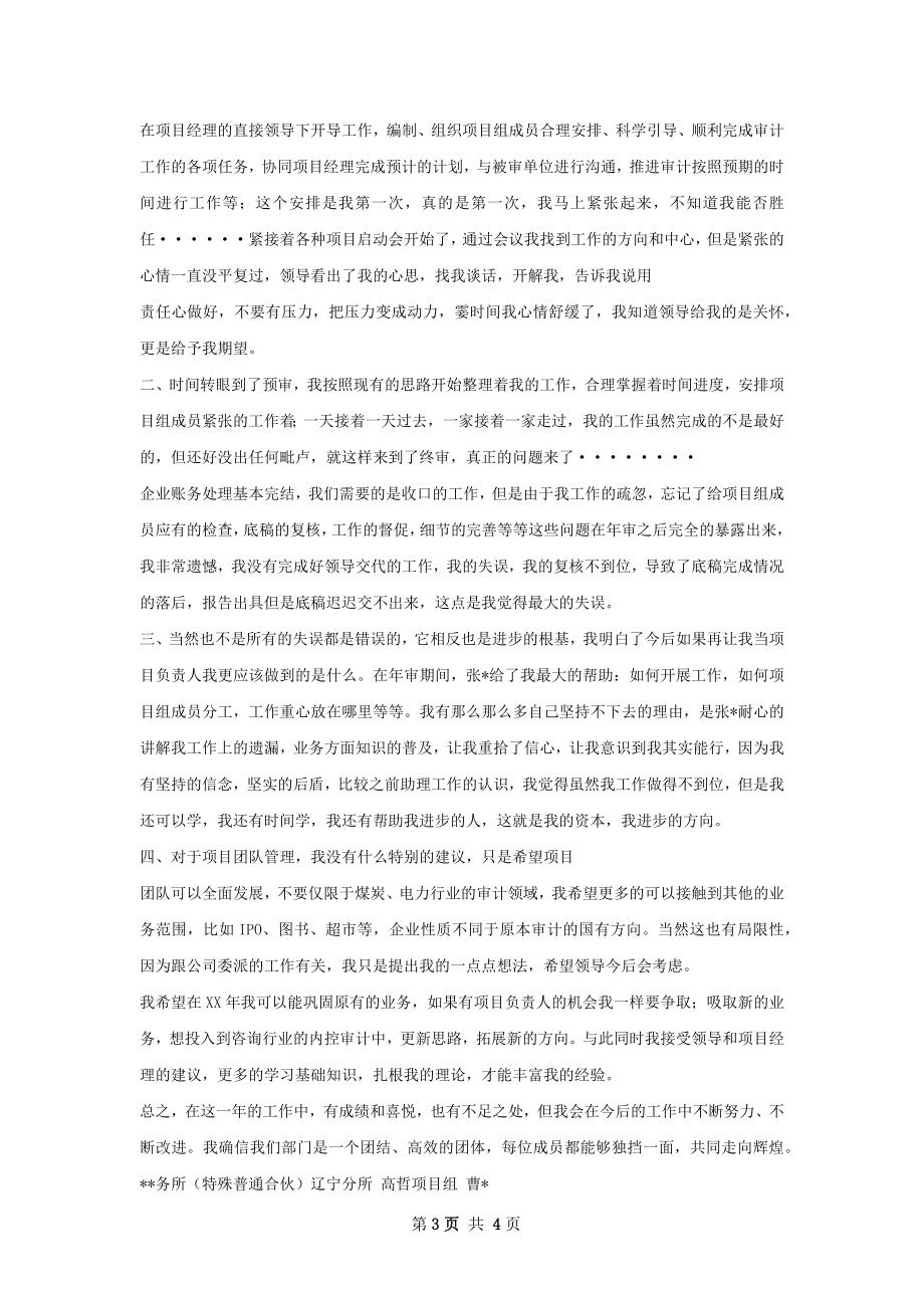 审计工作总结.docx_第3页