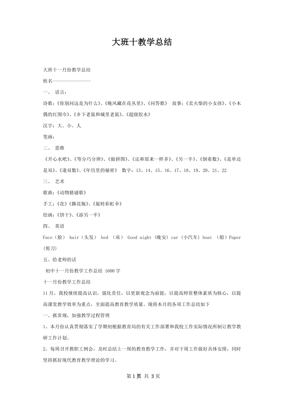 大班十教学总结.docx_第1页