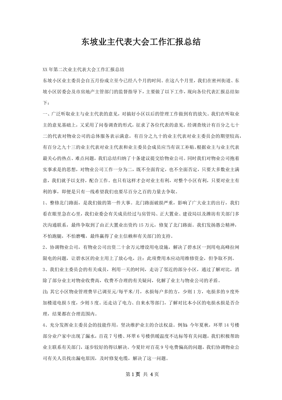 东坡业主代表大会工作汇报总结.docx_第1页