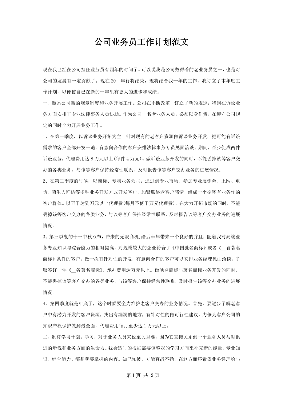 公司业务员工作计划范文.docx_第1页