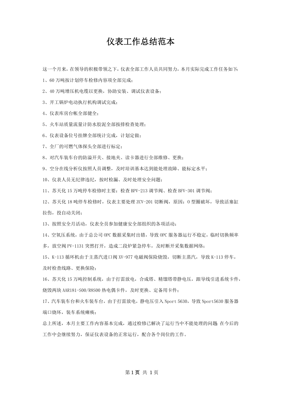 仪表工作总结范本.docx_第1页