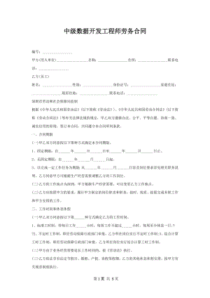 中级数据开发工程师劳务合同.docx