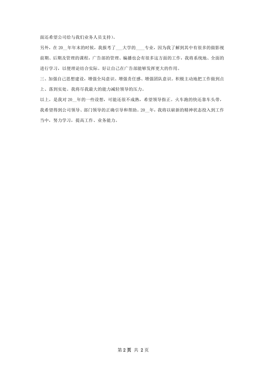 公司个人策划书范文.docx_第2页