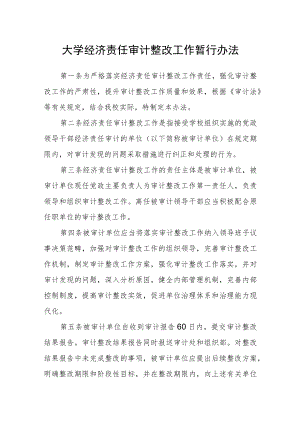 大学经济责任审计整改工作暂行办法.docx