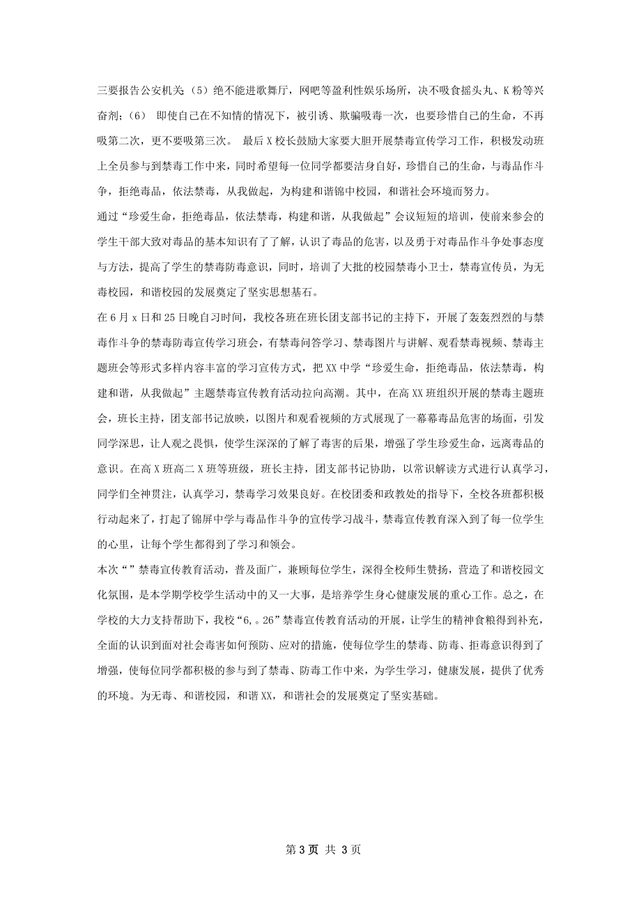 刁镇国际禁宣传教育活动总结.docx_第3页