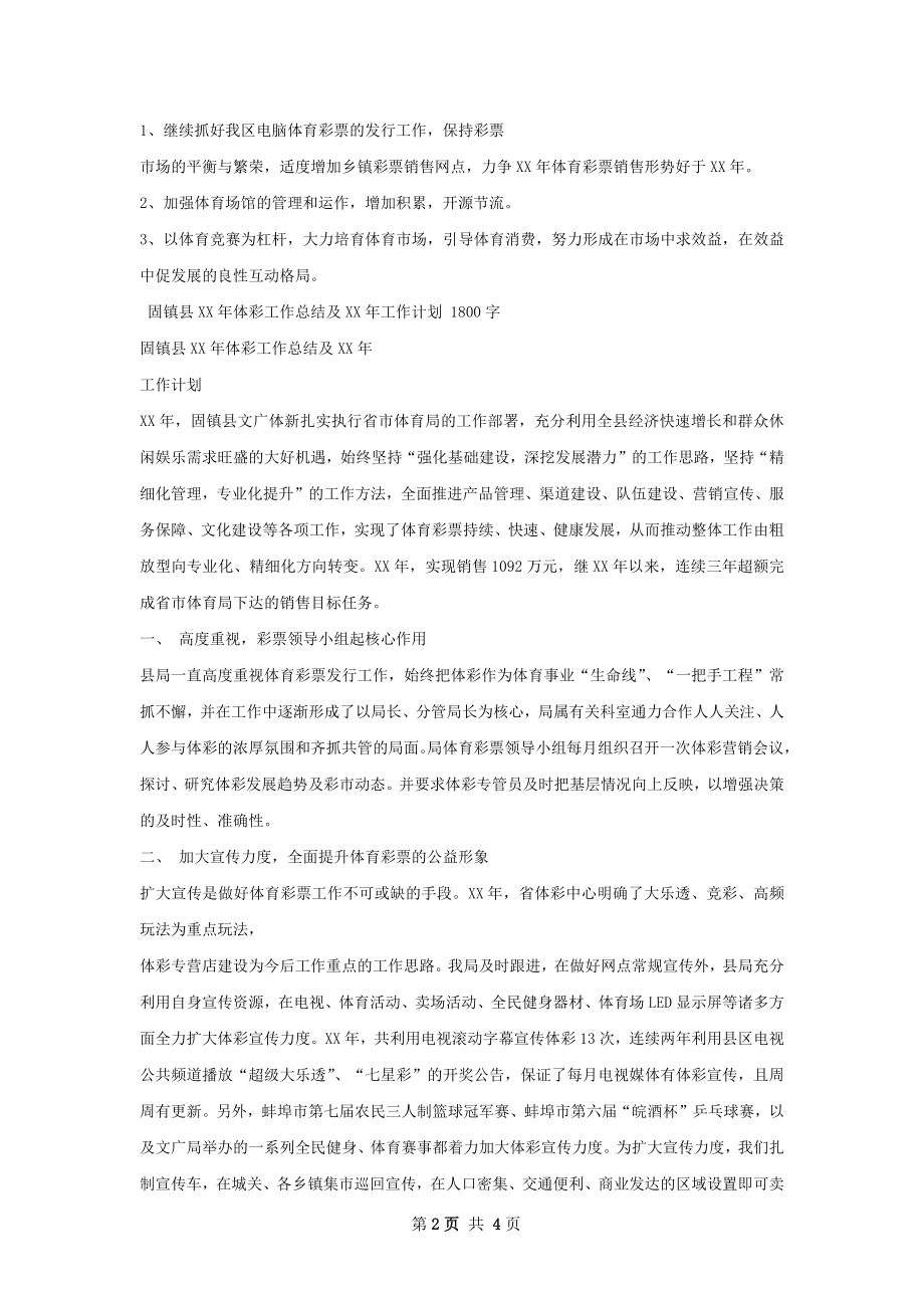 体彩工作总结.docx_第2页