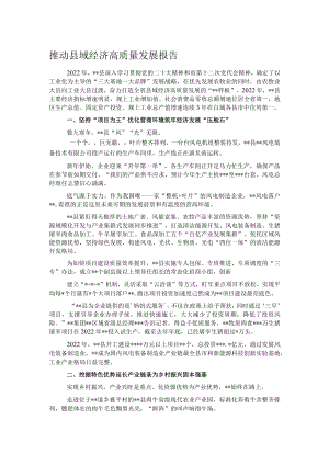 推动县域经济高质量发展报告.docx