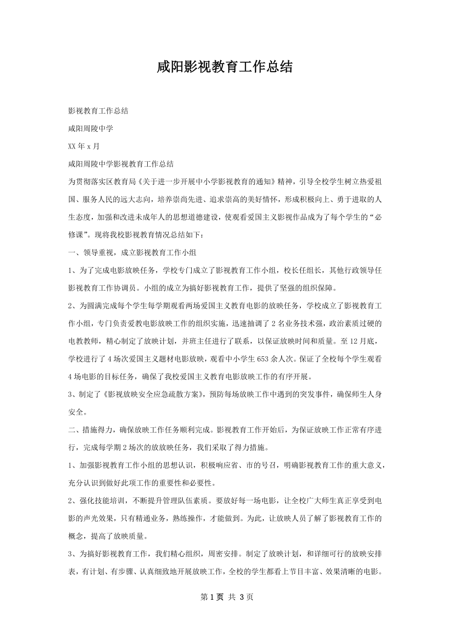 咸阳影视教育工作总结.docx_第1页