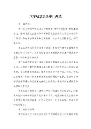 大学经济责任审计办法.docx