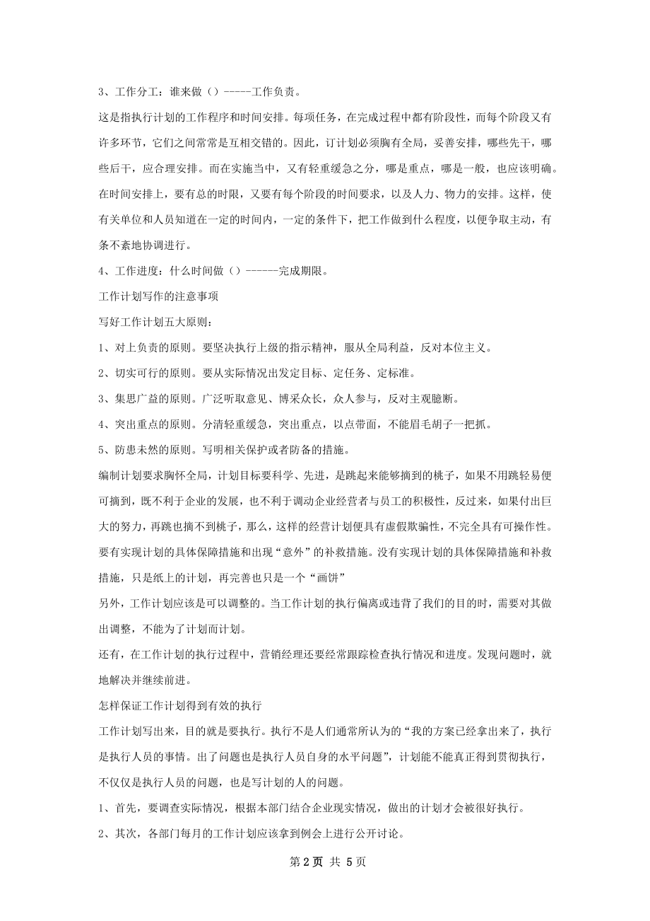 如何写营销经理的工作计划.docx_第2页