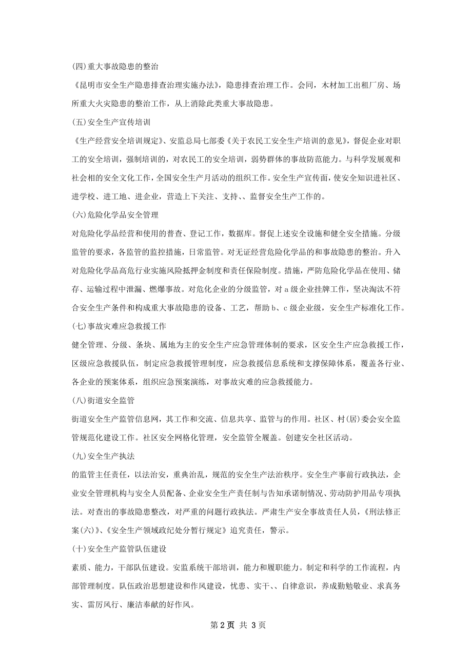 安监局局长个人工作计划范文.docx_第2页