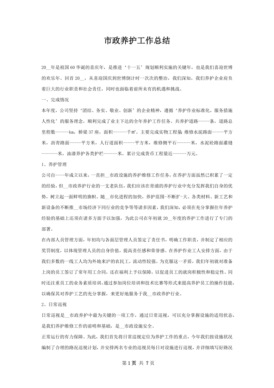 市政养护工作总结.docx_第1页