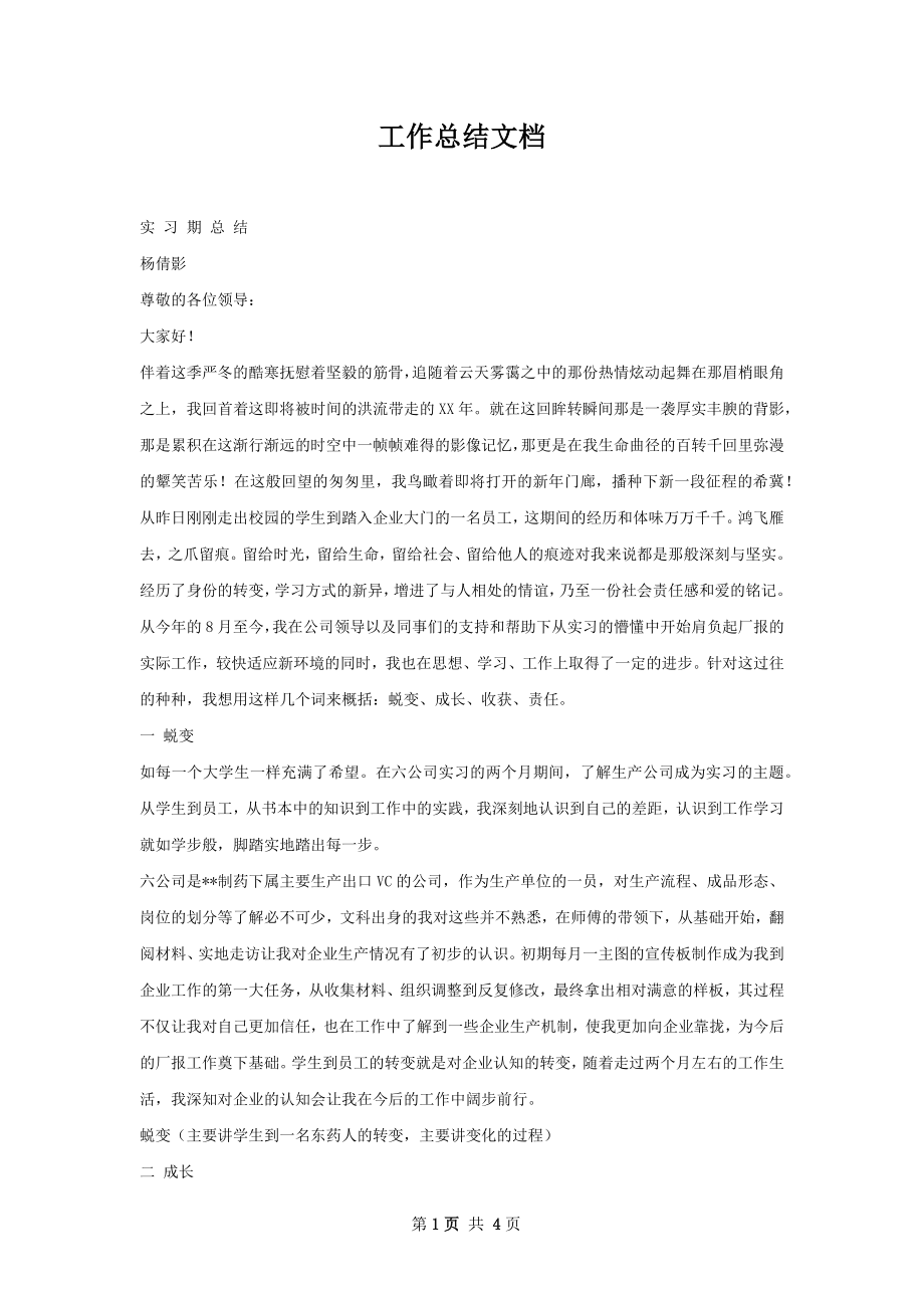 工作总结文档.docx_第1页