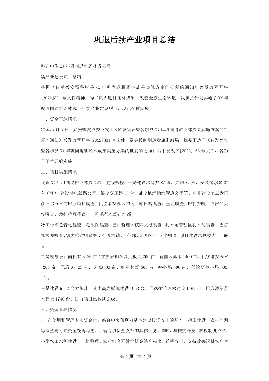 巩退后续产业项目总结.docx_第1页